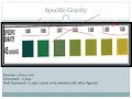 dipstick urinalysis analysis