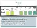 dipstick urinalysis analysis