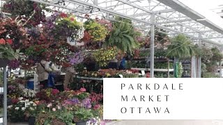 Parkdale Market || Ottawa Ontario || Plant shop || Gardening in Canada 🇨🇦 || Summer time