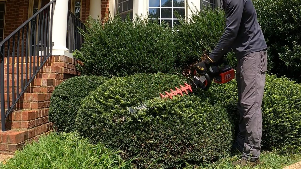 Just Trimming Some Bushes Youtube