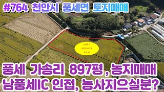 (매물#764) 천안시 풍세면 가송리 토지농지매매, 897평 답, 사통팔달 접근성 좋은 농사짓기 좋은곳!