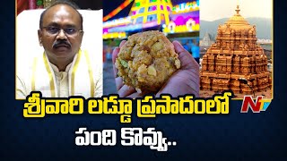 నెయ్యి నూనెల ఉంది: TTD EO Shyamala Rao Press Meet on Tirumala Tirupati Laddu Issue | Ntv