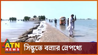 মাঞ্চার লেকের পানিতে সিন্ধুতে আকস্মিক বন্যা | Flood News | ATN News