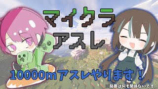 【マイクラ】キャラコンって、、何？w/いぇい【縦型配信】#shorts #minecraft