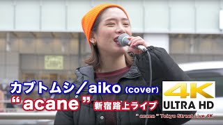 【4K】カブトムシ／aiko（cover）\