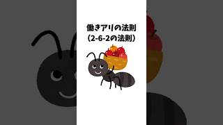 【人間も同じ⁉︎】働きアリの法則  #雑学 #豆知識 #法則