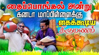 தைப்பொங்கல் அன்று கனடா மாப்பிள்ளைக்கு கைக்கூடிய திருமணம் |Akkuddiyum pichumaniyum #akkuddipichumani