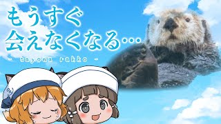 【ゆっくり解説】ラッコが水族館から消える日｜国内繁殖が絶望的な理由…