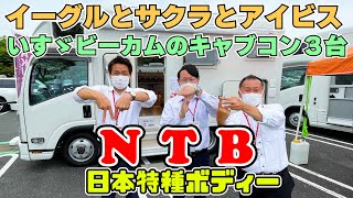 いすゞビーカムのキャンピングカー３台を比較！日本特種ボディーのイーグルとサクラとアイビス