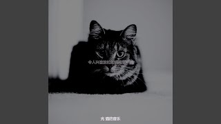 精彩可爱的猫环境