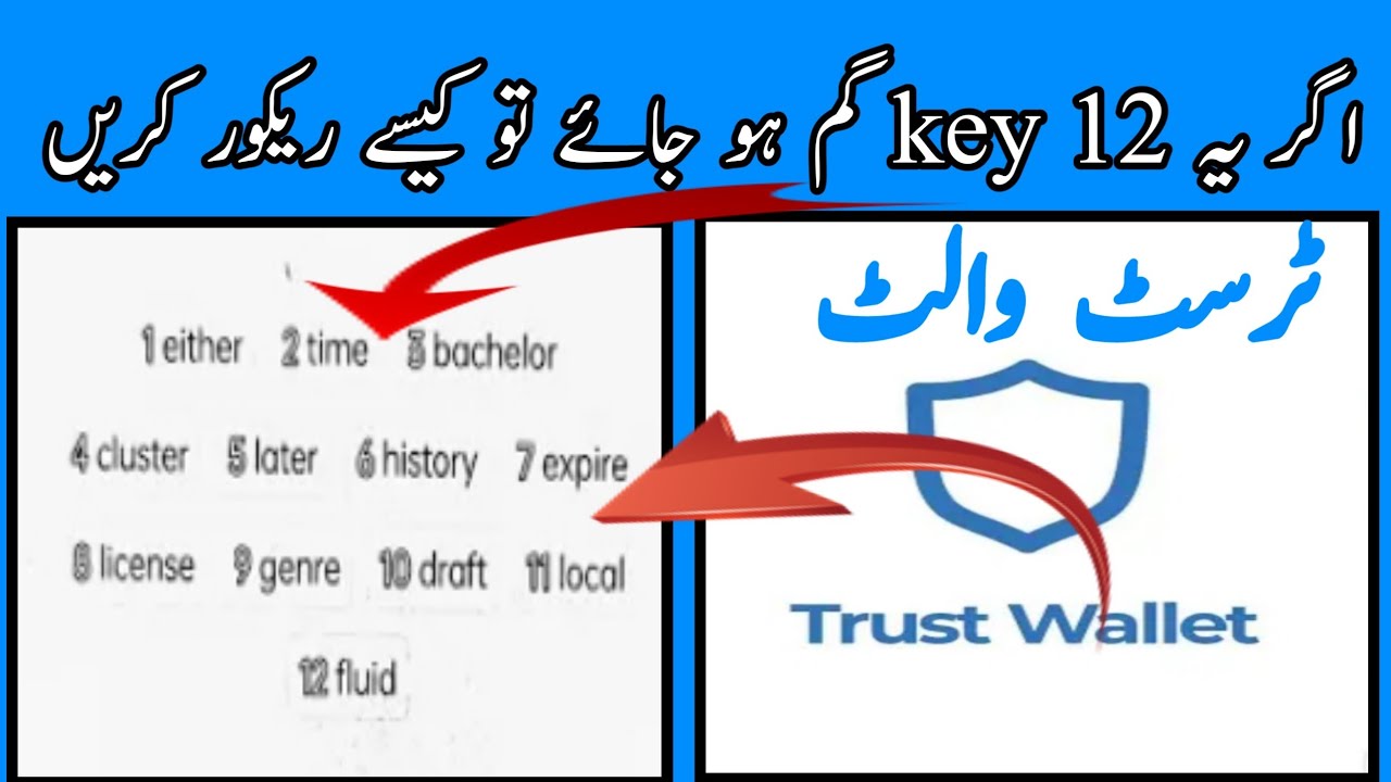 How To Recover Trust Wallet Secret 12 Key||How To Recover Trust Wallet ...