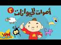 أصوات الحيوانات للأطفال 2 🐶🐱 | آدم ومشمش