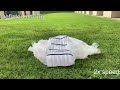 sphr a soft pneumatic hybrid robot with extreme shape changing and lifting abilities