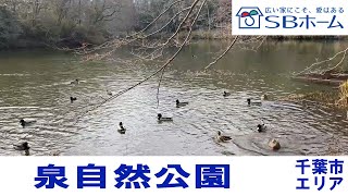 【エリアガイド】泉自然公園