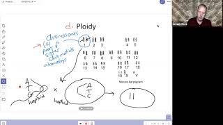 Developmental Genetics 2