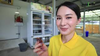 Smart Farm Thailand ep6 b1