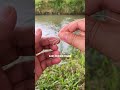 best fishing knot for a hook fishing fishingknots tutorial fishingtips