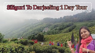 Silliguri to Darjeeling 1day Tour | Darjeeling 1 Day Tour | Darjeeling | West Bengal