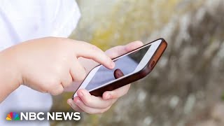 Senate passes legislation for children's online safety