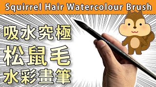 吸水究極松鼠毛水彩畫筆【屯門畫室】Squirrel Hair Watercolour Brush