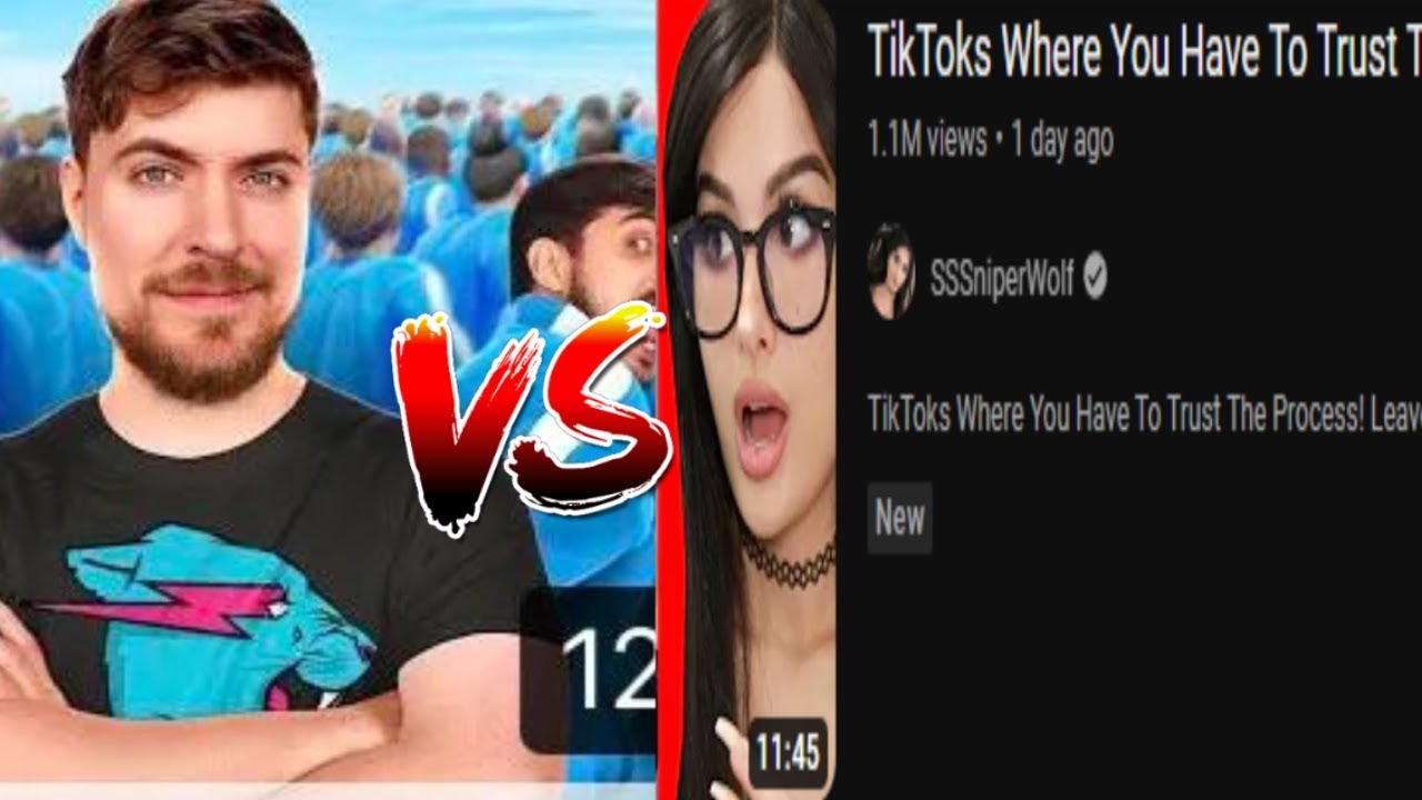 Sssniperwolf Controversy Youtube