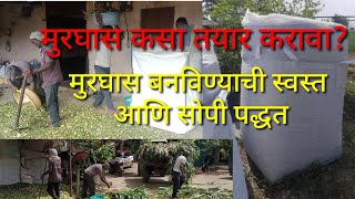 मुरघास कमी खर्चात आणि सोप्या पद्धतीने कसं बनवायच ? | Silage making process | Low cost murghas