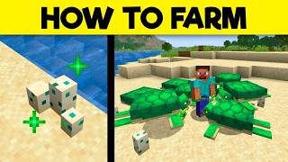 Ultimate Guide To TURTLES & How To Farm Them In Minecraft