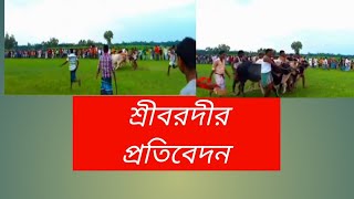 শ্রীবরদীতে গরু দৌড় প্রতিযোগিতা অনুষ্ঠিত হয়