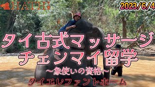 【えりka海外#12】象使いの資格取得・MAHOUT・タイのチェンマイへタイ古式マッサージ＆faceマッサージ＆オイルマッサージ＆ルーシーダットン留学⑥ 23/6/11 HATHI ＠えりka