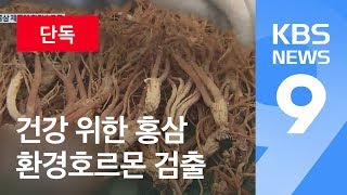 [단독] 홍삼 제품서 환경호르몬 추정 물질 다량 검출 / KBS뉴스(News)