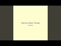 Harmony Silver Tranquil