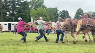 Great horse pulling competition of the past