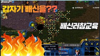 [스틱] 마지막 배신을하네요 헌터 스타팀플 TeamPlay StarCraft