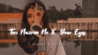 Teri Nazron Ne X Your Eyes  [ Slowed & Reverb ]  |  Lofi Song  |  DARK LOFI  |