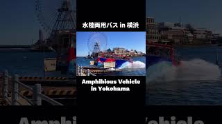 横浜 Yokohama: 水陸両用バス Amphibious Vehicle Splash #shorts