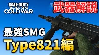 【CoD:BOCWアルファ】もはやAR!!最強SMGタイプ821の使い方を徹底解説!!【武器解説】