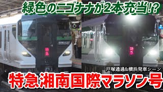 【緑のE257系が2本充当】湘南国際マラソン開催による臨時特急！特急湘南国際マラソン2・4号JR東海道線戸塚通過(OM91編成)\u0026横浜発車シーン(OM92編成)