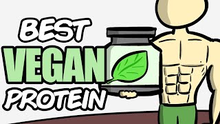 Which Vegan Protein Powder is Best?