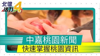 中嘉桃園新聞|1091224