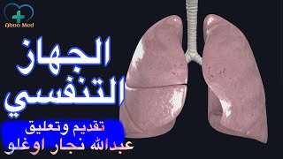 جهاز التنفسي | فيديو مجسم (ثلاثي الأبعاد) مع تعليق الصوتي