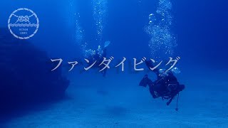 海ガメと一緒に泳ぐファンダイビング！