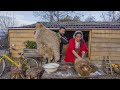 A young family living national traditions: Salting Sheepskin! Life in the Village!