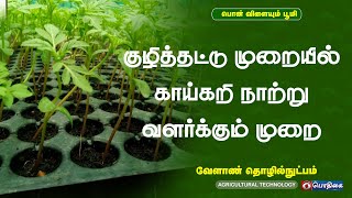 குழித்தட்டு முறையில் காய்கறி நாற்று வளர்க்கும் முறை   | வேளாண் தொழில்நுட்பம்