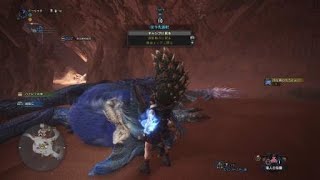 【MHW】☆8炎王龍と炎妃龍 狩猟笛 TA wiki Rule 06'21\