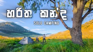 මැරෙන තරම් සීතලක Solo Camping Haritha Kanda 🥶 @traveleranjana