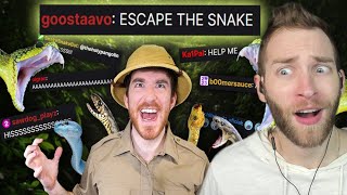 THERE'S A SNAKE!!! Reacting to "I coded a snake and released it into Twitch Chat" by DougDoug