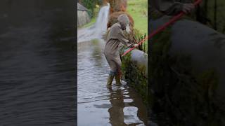 Unblocking a drain, got to be one of life’s most satisfying jobs. #drainage #unblocking #flood #wet