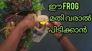 നാടൻ വരാൽ പിടിക്കാൻ പറ്റിയ സമയം #fishhunter #toman snakehead