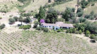 Vineyard and winery for sale in Colchagua Valley Chile