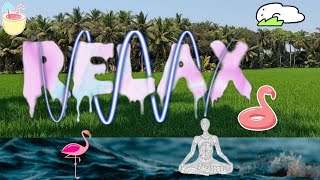 Relax _ Beautiful Nature from Land to Sky || నేల నుండి నింగి వరకు  అందమె ఆనందం_ విశ్రాంతి కి అనువే